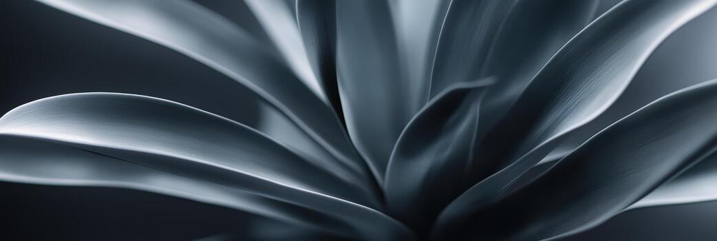 Close-up view of a succulent plant with smooth leaves photo