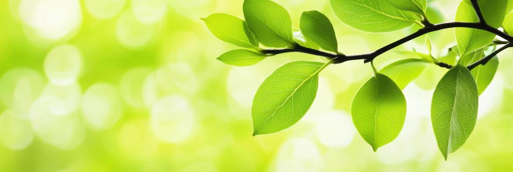 Shimmering green leaves create a tranquil scene photo