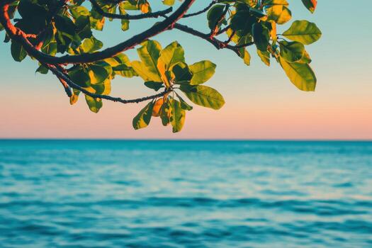 Calm ocean view framed by tree branches at sunset photo
