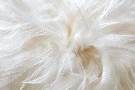 White soft fibers create a fluffy texture in close up photo