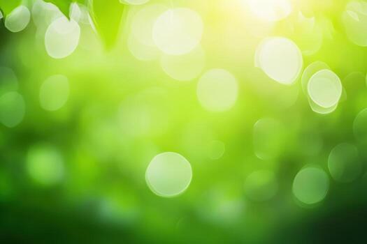Soft green bokeh background with natural light shining through photo