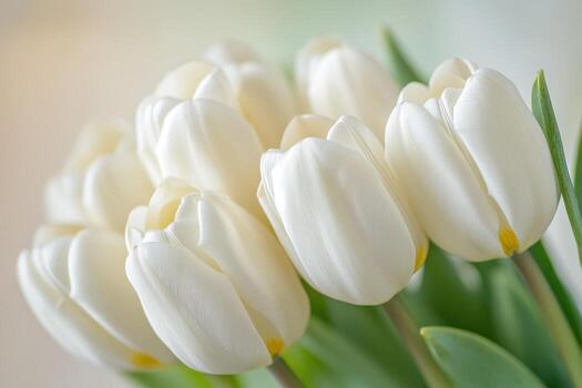 blanco tulipanes floreciente en un suave, natural ajuste foto