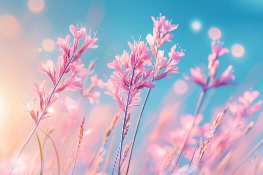 Spring flowers bloom under soft sunlight in a vibrant field photo