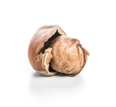 Whole hazelnut in its shell captured on a white background during a studio session photo