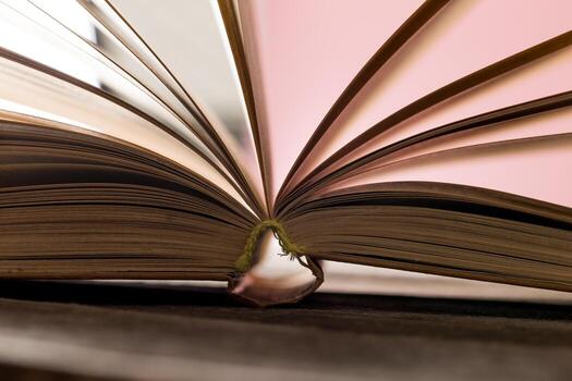 Open book resting on a surface with visible pages and a soft focus background photo