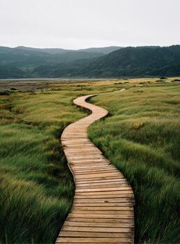 A wooden path that goes through a grassy field photo