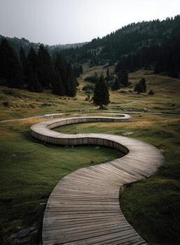 A wooden pathway in a field photo