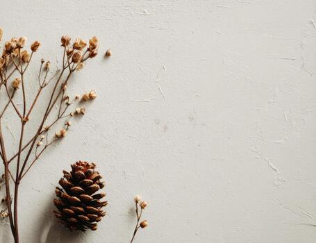 A dried plant and a cone on a white background photo
