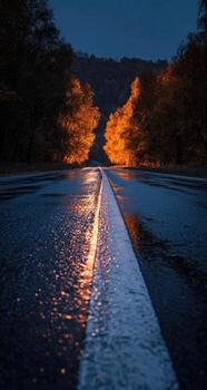 A wet road at night with trees and lights photo