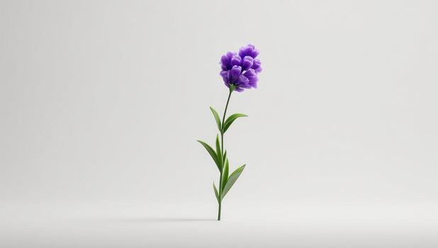 A single purple flower is shown in front of a white background photo