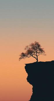 un solitario árbol en parte superior de un acantilado a puesta de sol foto