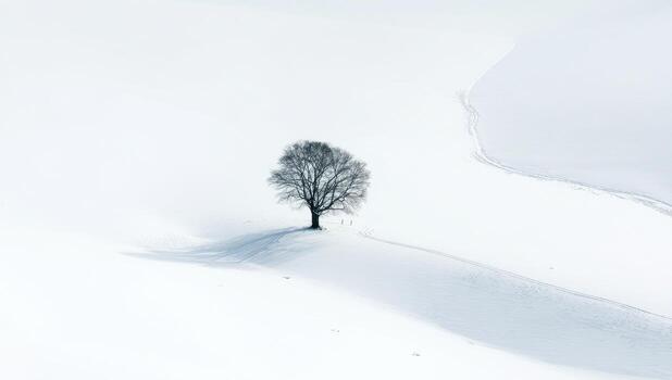 A lone tree stands alone in the middle of a snowy field photo