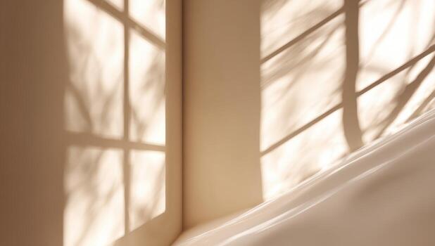 A white wall with a window and a tree photo
