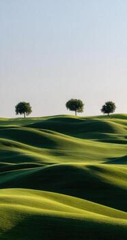 Three trees stand in the middle of a green field photo
