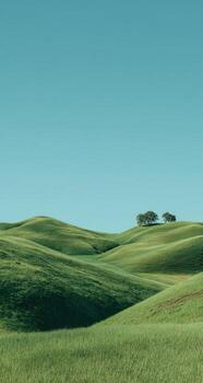 A field with grass and trees photo