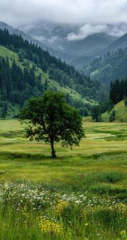 A tree in a field photo