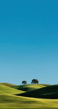 A field with trees and a blue sky photo