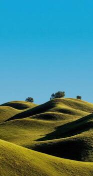 A grassy hill with trees photo
