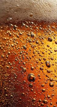 Close up of a beer glass with bubbles photo