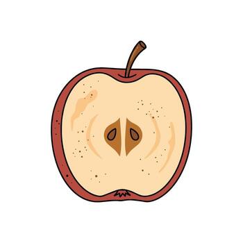Cross-section of a fresh red apple with seeds displayed vector