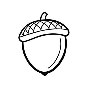 Black and White Outline of an Acorn with a Textured Cap on White Background seed tree vector