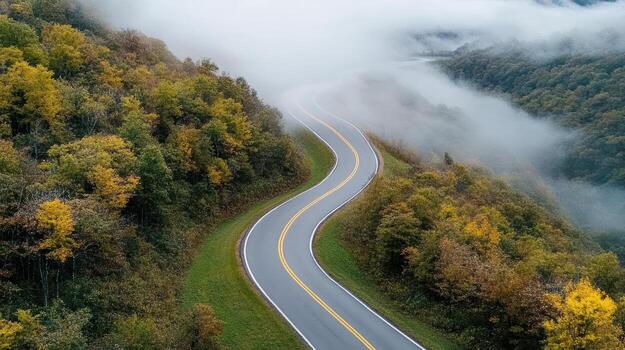 A winding road in the mountains with trees and fog photo
