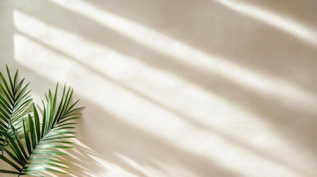 A palm tree and a wall with sunlight photo