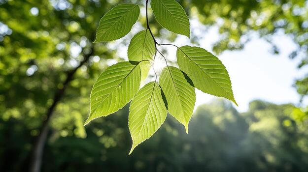 A green leaf is shown in front of a tree photo