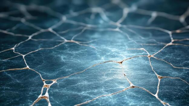 The brain is shown in this image photo