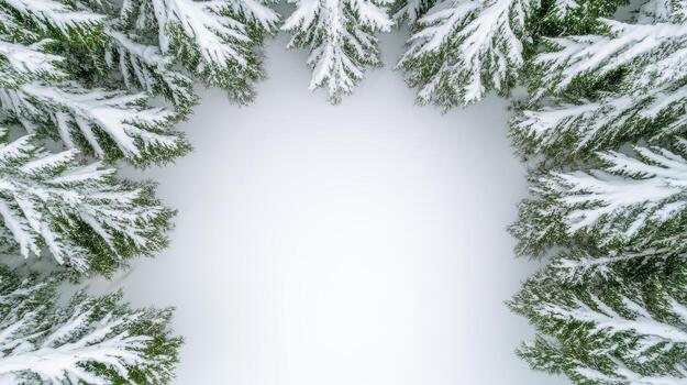 un ver de un nieve cubierto pino árbol desde encima foto