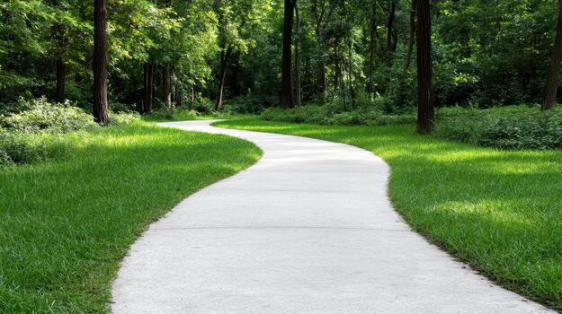 A paved path in the middle of a lush green forest photo