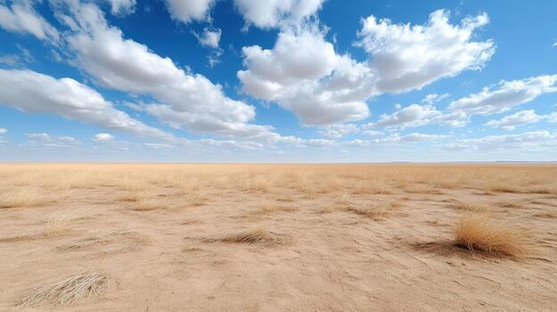 A desert landscape with grass and clouds photo