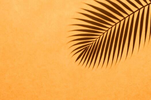 Minimalist image of a palm leaf shadow against a warm, textured background. The leaf's bright, crisp shadow creates an attractive pattern. Space for text or design elements is available. photo