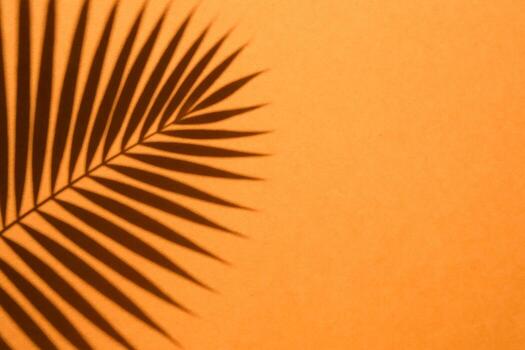 un minimalista imagen de un palma hoja sombra en un cálido, texturizado antecedentes. el hoja brillante, crujiente sombra crea un atractivo modelo. hay habitación para texto o diseño elementos. foto