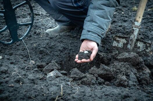 The coin is a lucky find while searching for treasures with a metal detector in the field. A dug up coin in a pile of earth on a man's hand. Copy space photo