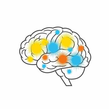 cerebro ilustración con vistoso Destacar representando cognitivo funciones y procesos. vector