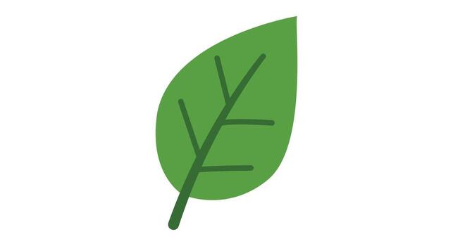 Simple green leaf icon with visible veins symbolizing nature and freshness for design projects vector