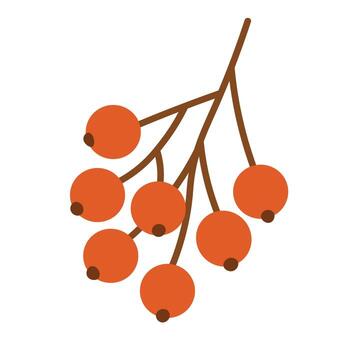 Cluster of red autumn berries in flat doodle style, seasonal botanical element isolated on white background. vector