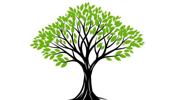 Lush Green Tree with Spreading Branches Isolated on White Background - Nature Growth and Spring Concept photo