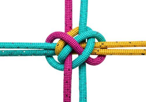 Colorful ropes tied in a complex knot on a white background symbolizing connection teamwork and collaboration This image is perfect for illustrating concepts of unity partnership and the strength foun photo