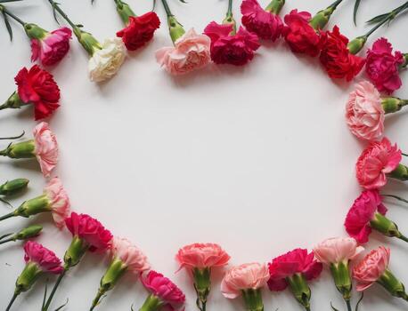 clavel flor marco antecedentes parte superior ver rosado rojo floral diseño blanco espacio para texto Boda invitación foto