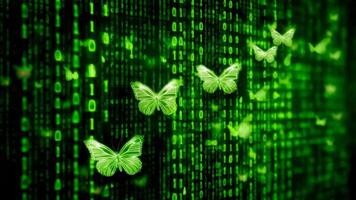 lysande grön fjärilar fladdra genom en digital värld av binär koda. video