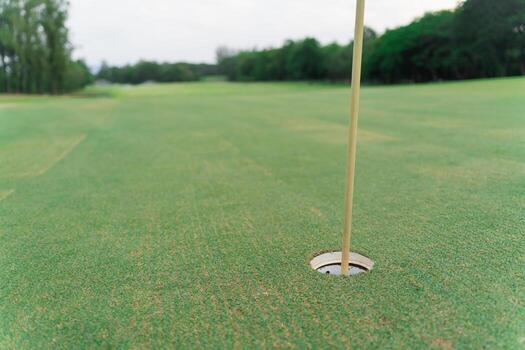 Close-Up View of Golf Hole and Flagstick on a Lush Green Golf Course with Trees and Open Sky in the Background photo
