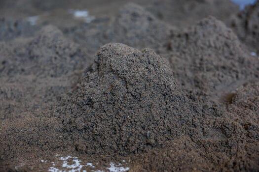 A detailed view of dark, fine grained soil with uneven textures, small clumps, and lighter patches scattered across the slightly damp surface. photo
