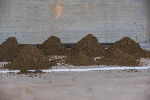 Several small piles of brown soil are arranged in a row on a flat surface, with a white pipe in front and a plain concrete wall in the background. photo
