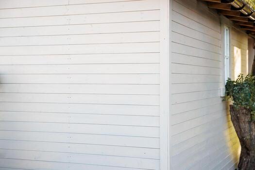 Corner of a wooden structure with horizontal paneling, a window partially obscured by a tree trunk and foliage, and sunlight casting soft shadows. photo