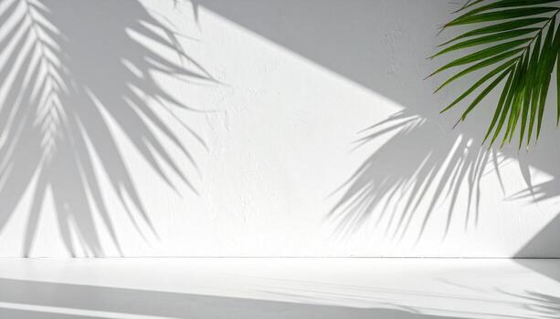 White stucco wall with diagonal palm shadow broad clean space wallpaper background representing architectural surface minimal style suitable for modern design and branding photo