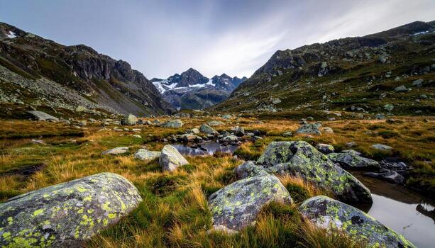 High plateau felsenmeer boulder field under even light quiet tones wallpaper background representing periglacial block field detail suitable for natural mountain design photo