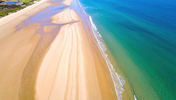 High view tidal wrack lines on pale beach repeating arcs wallpaper background representing coastal pattern suitable for clean natural design photo