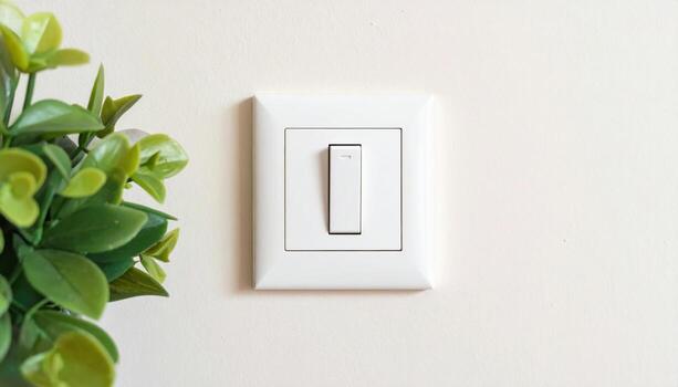 Plain light switch plate on eggshell wall roomy negative space wallpaper background representing interior object detail suitable for clean editorial design photo